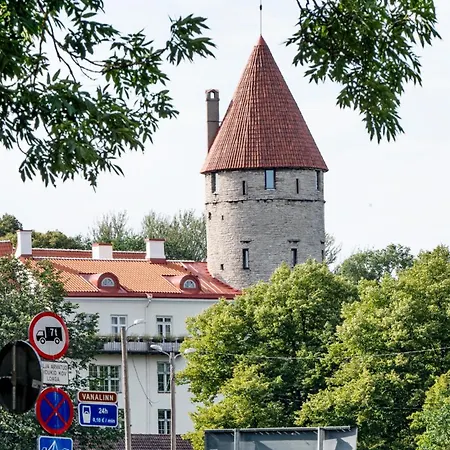 Luxury Loft In Central Next To Old Town Tallinn
